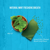 Merrick Fresh Kisses Grain Free Mint Breath Strips Small Dental Dog Treats