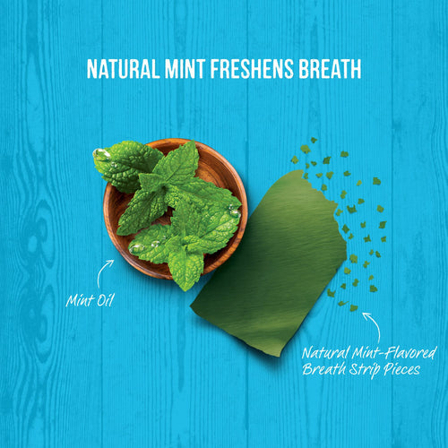 Merrick Fresh Kisses Grain Free Mint Breath Strips Small Dental Dog Treats