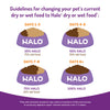 Halo Kitten Grain Free Chicken Recipe Pate Canned Cat Food