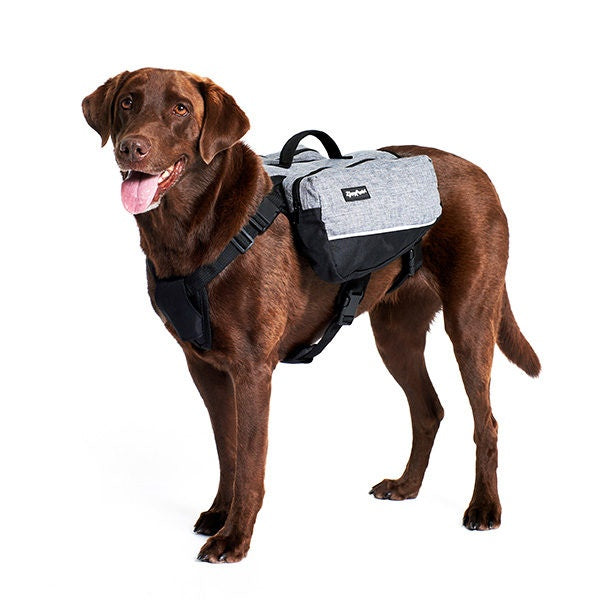 ZippyPaws Adventure Gear Graphite Backpack For Dogs
