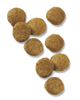 Purina Pro Plan Focus Lamb & Rice Formula Puppy Dry Dog Food