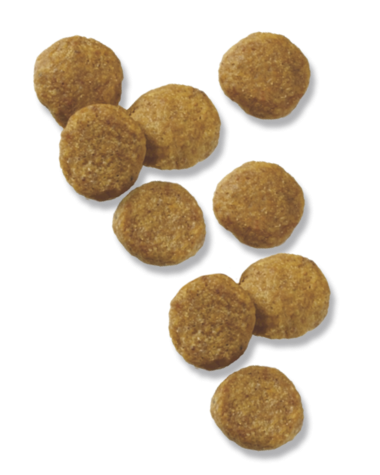 Purina Pro Plan Focus Lamb & Rice Formula Puppy Dry Dog Food
