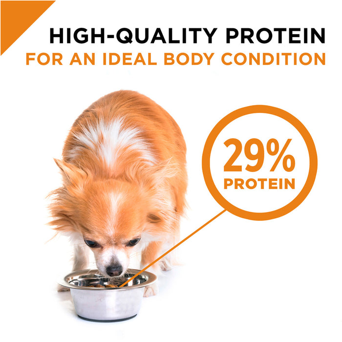 Pro Plan Pro Plan Small Toy Breed Chicken Dry Puppy Food