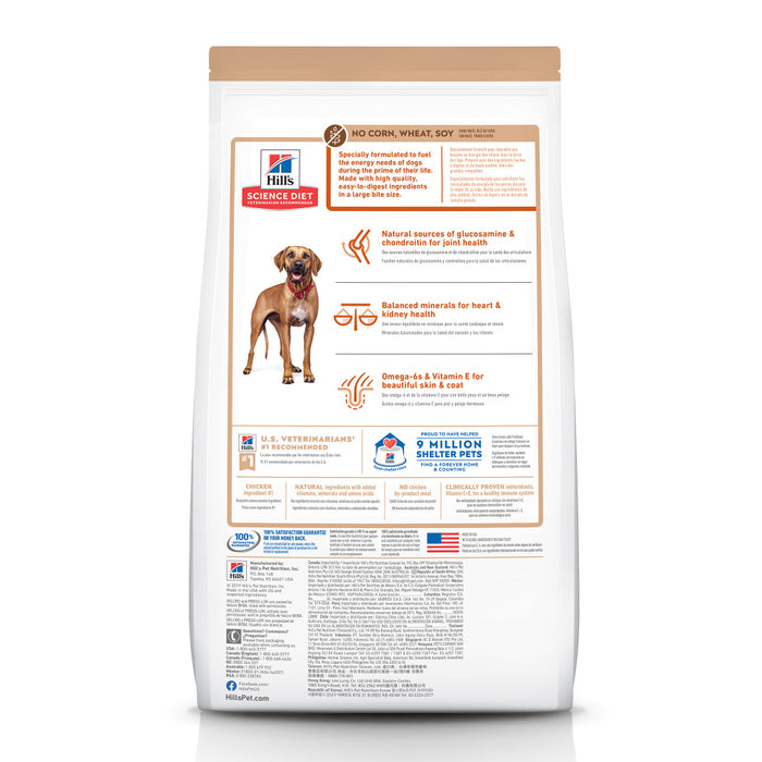 Hill's Science Diet Adult 6+ Large Breed No Corn, Wheat, or Soy Chicken & Brown Rice Recipe Dry Dog Food