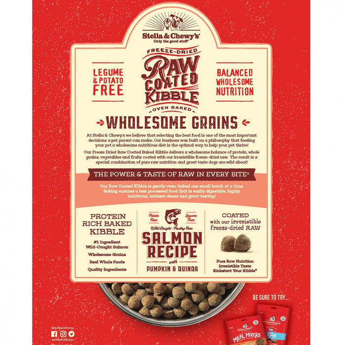 Stella & Chewy's Raw Coated Kibble With Wholesome Wild Caught Salmon Recipe Dry Dog Food